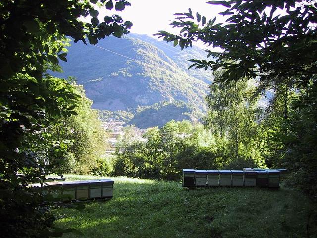 2002-07-07 08-32-24.JPG